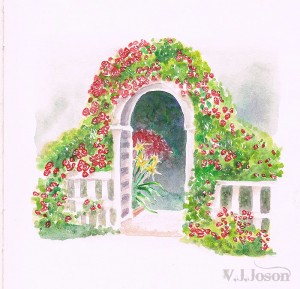 19-Rose Garden